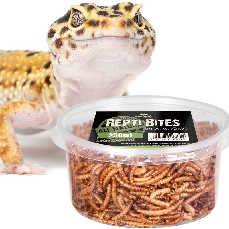 Terrario Repti Bites Meelwormen 250ml