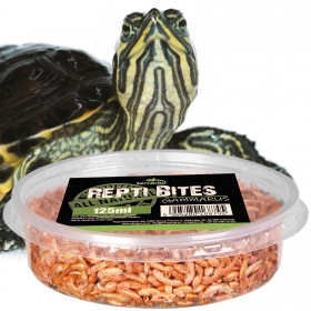 Terrario Repti Bites Gammarus