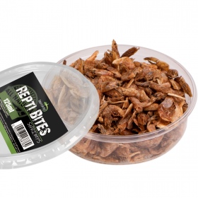 Terrario Repti Bites Dried Shrimps 125ml