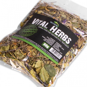 Terrario Vital Herbs 80g - směs bylin pro želvy