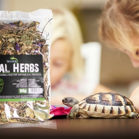 Terrario Vital Herbs 80g - směs bylin pro želvy