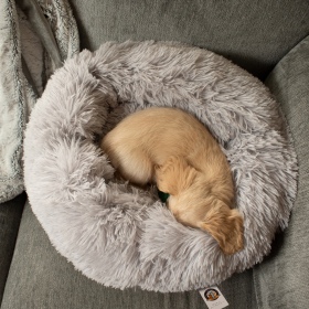 Furrever Friends Fluffy Bed 60cm