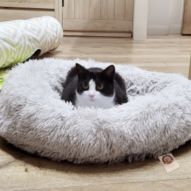 Furrever Friends Fluffy Bed 60cm