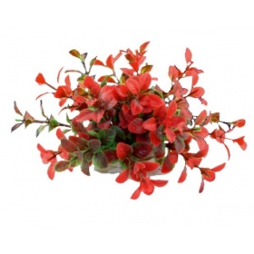 Happet artificial aquatic plant 10cm