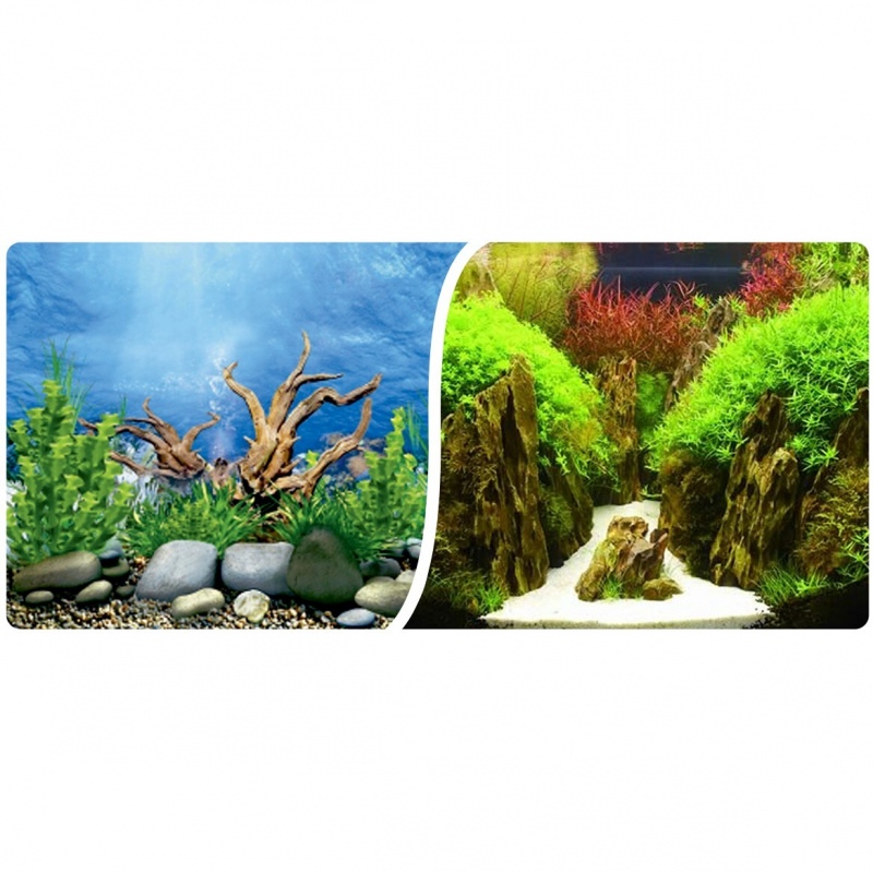 Double-sided aquarium wallpaper