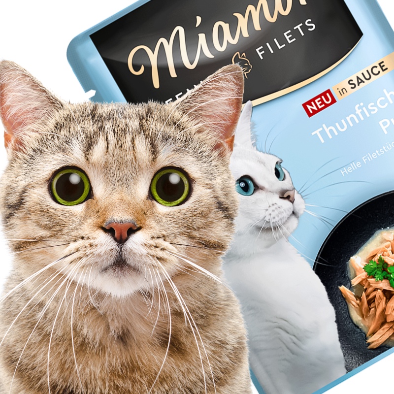 Miamor Filets Tuna in Sauce 100g