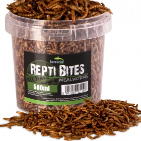 Terrario Repti Bites - Sušené larvy 500ml