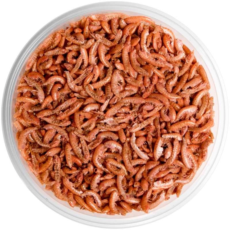 Terrario Repti Bites Gammarus - Dried Shrimp