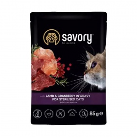 Savory Lamb & Cranberry for Kitten 85g - przysmak dla kotów