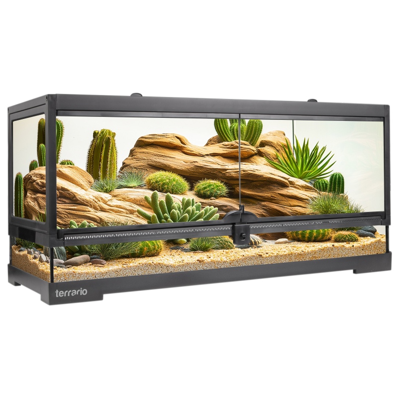 Terrarium Santuario Natural 20