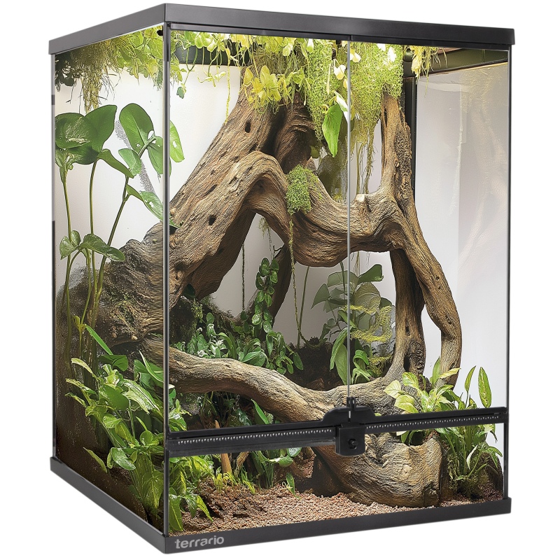 Terrario Oasis Verde 30 terrarium