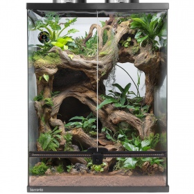 Terrario Oasis Verde 30 terrarium med sett