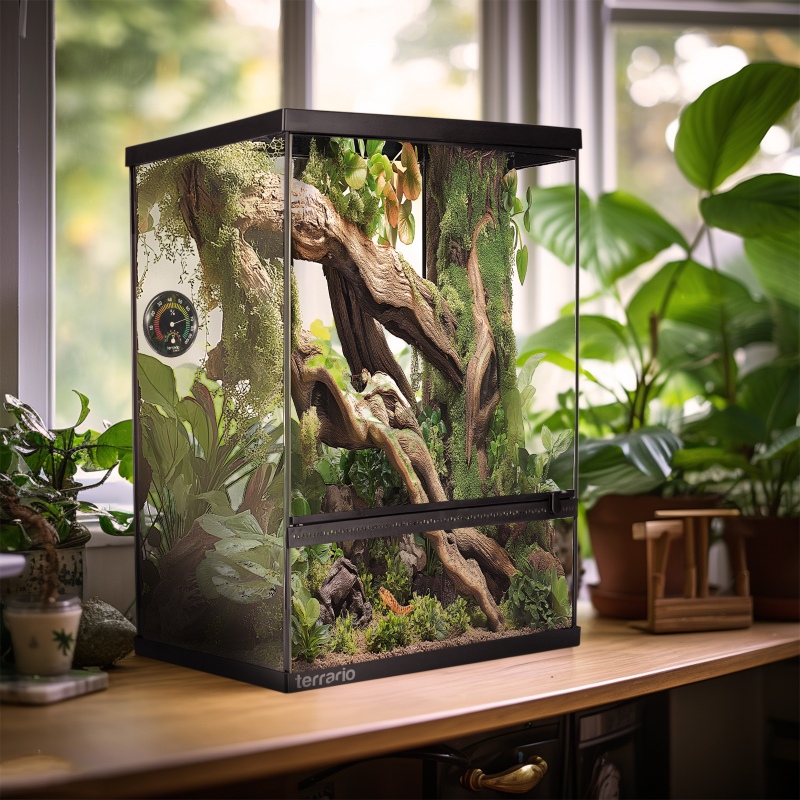 Terrarium Oasis Verde 10 mit Set