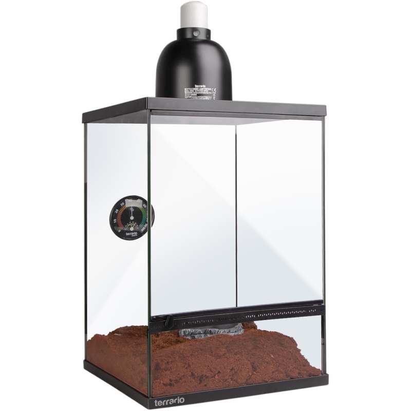 Terrarium Oasis Verde 10 mit Set