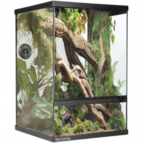 Terrarium Oasis Verde 10 mit Set