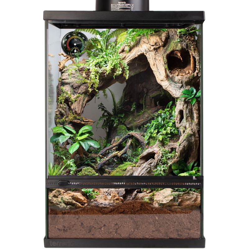 Terrarium Oasis Verde 10 mit Set