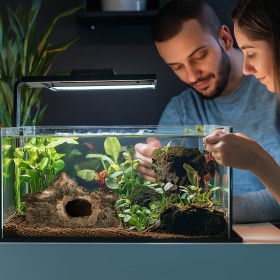 Terrario Cueva de Madera M