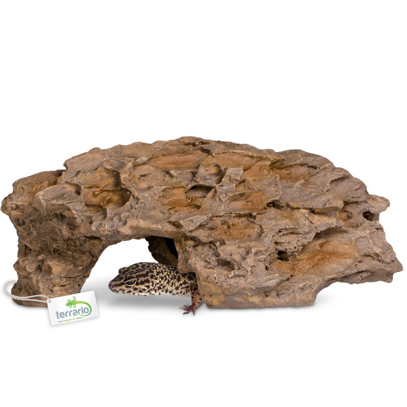 Terrario Dragon Stone M 22x15x8 cm