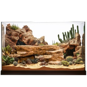 Terrario Mountain Shelf S - Decorazione naturale