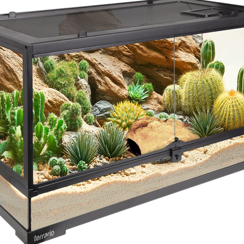 Terrario Rock Shelter uten bunn 22x13x8,5cm