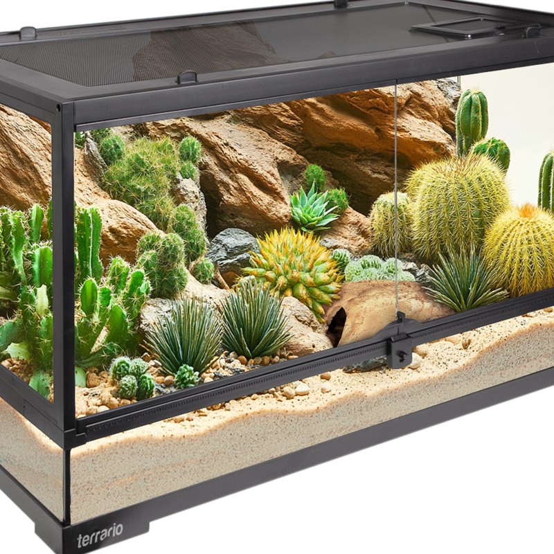 Terrario Rock Shelter S - refugio para reptiles