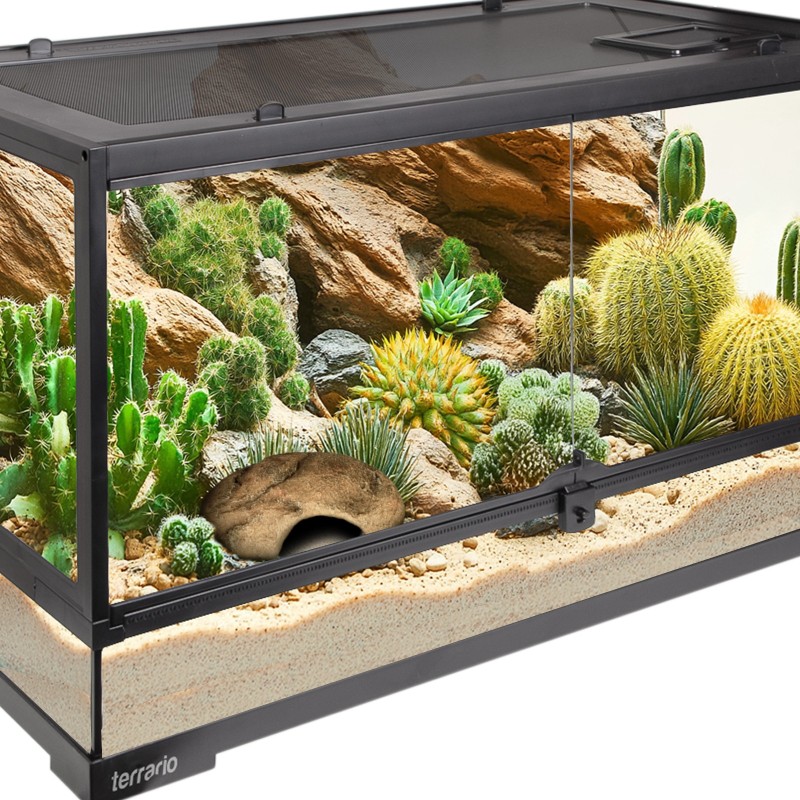 Terrario Gecko Cave S for reptiles