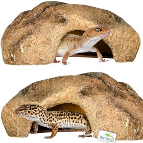 Terrario Gecko Cave S for reptiles