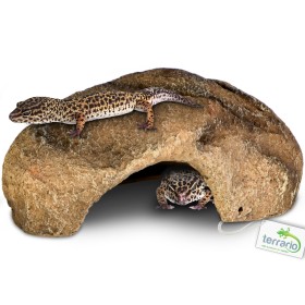 Terrario Gecko Cave S - 16x10x6 cm