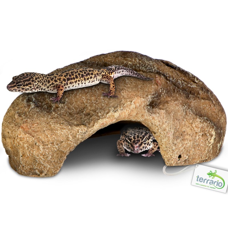 Terrario Gecko Cave S for reptiles