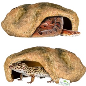 Terrario Gecko Cave M for reptiles