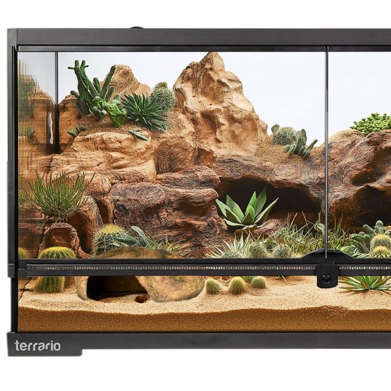 Terrario Gecko Cave M for reptiles