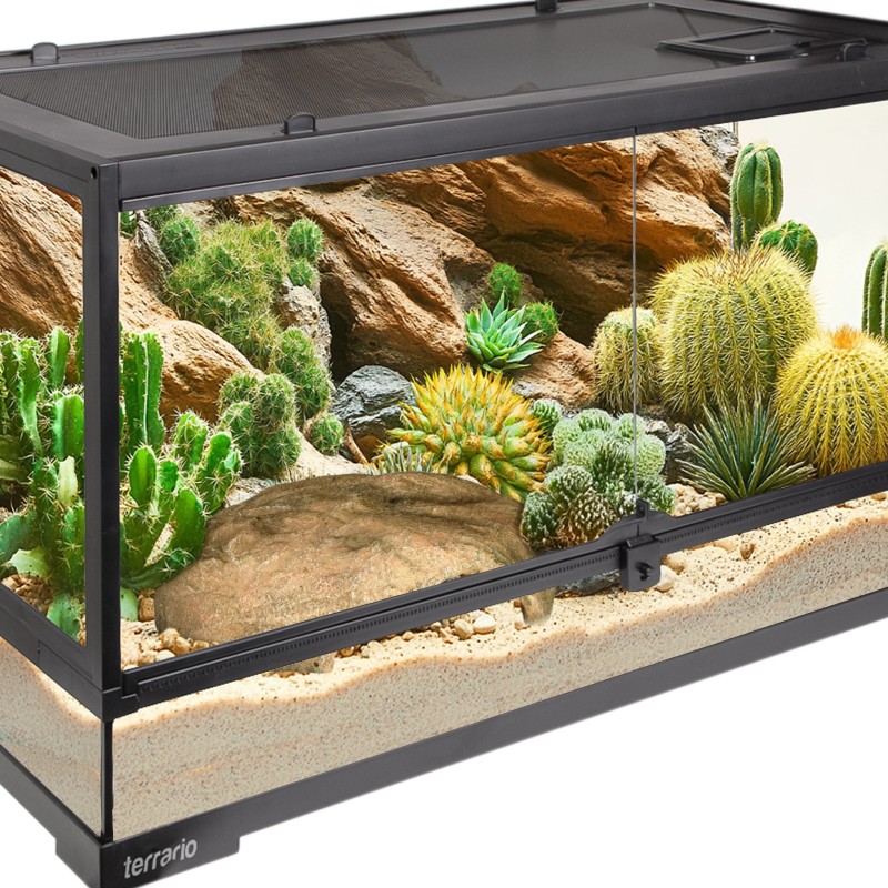 Terrario Gecko Cave L - skjulested for terrarium