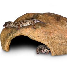 Terrario Gecko Cave L - Kryjówka dla Terrarium