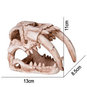 Terrario Crâne de Sabertooth pour terrarium