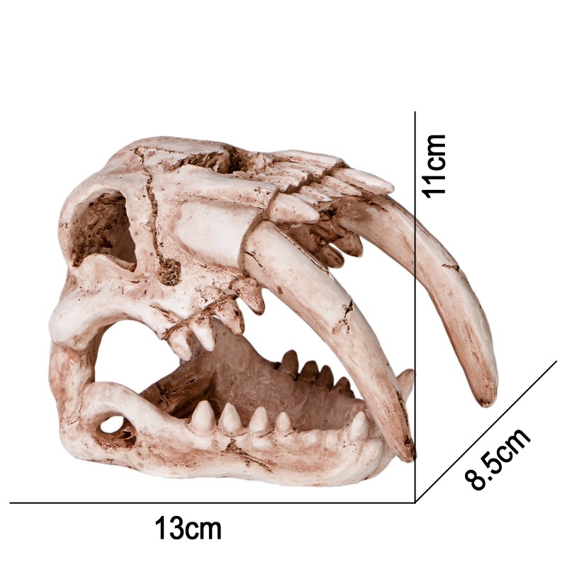 Terrario Sabertooth Skull dekoration