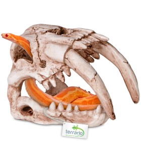 Terrario Sabertooth Skull - Prehistoryczna czaszka