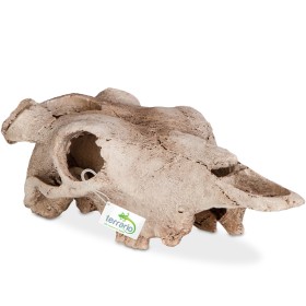 Terrario Buffalo Skull for Terrarium