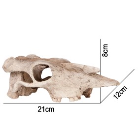 Terrario Buffalo Skull - череп для терраріуму