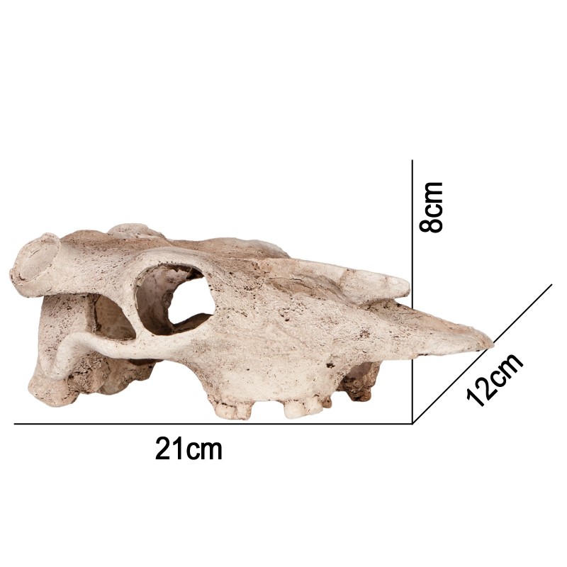 Terrario Биволска черепа - декорация за терариум