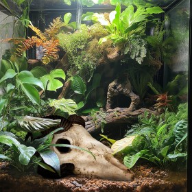 Terrario Ram Skull - Dekorasjon til terrarium