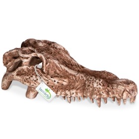 Terrario Crocodile Skull Decoration