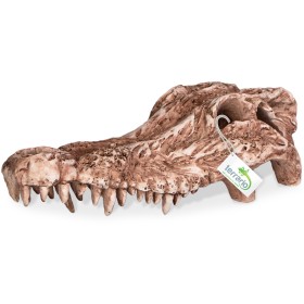 Terrario Crocodile Skull Decoration