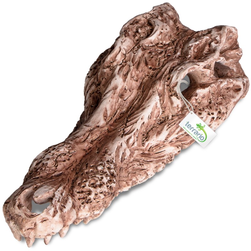 Terrario Crocodile Skull 30x14x9 cm