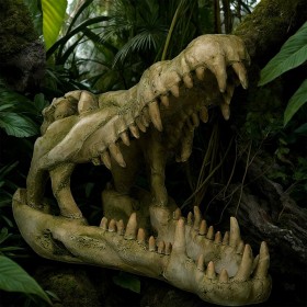 Terrario Crocodile Skull XL - czaszka krokodyla