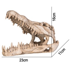 Terrario Crocodile Skull XL