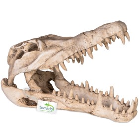 Terrario Crocodile Skull XL - czaszka krokodyla