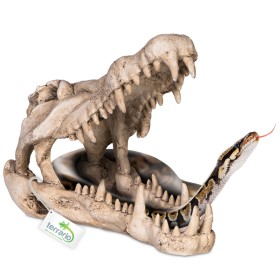 Terrario Crocodile Skull XL - 23x11x16 cm