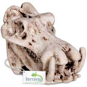 Terrario Hippo Skull dekoracija terariumui