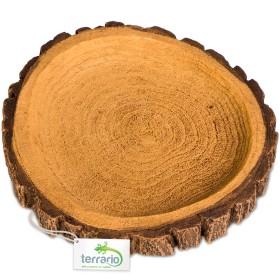 Terrario Tree Ring Bowl – Miska do Terrarium 12x11x1,5 cm