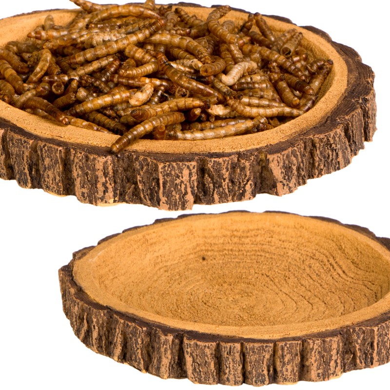 Terrario Tree Ring Bowl – Miska do Terrarium 12x11x1,5 cm